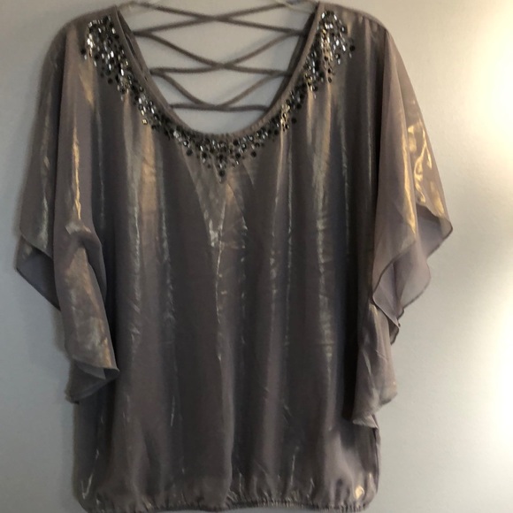 Daytrip Tops - Daytrip (Buckle Brand) shear silver metallic blouse. NWOT, size medium.